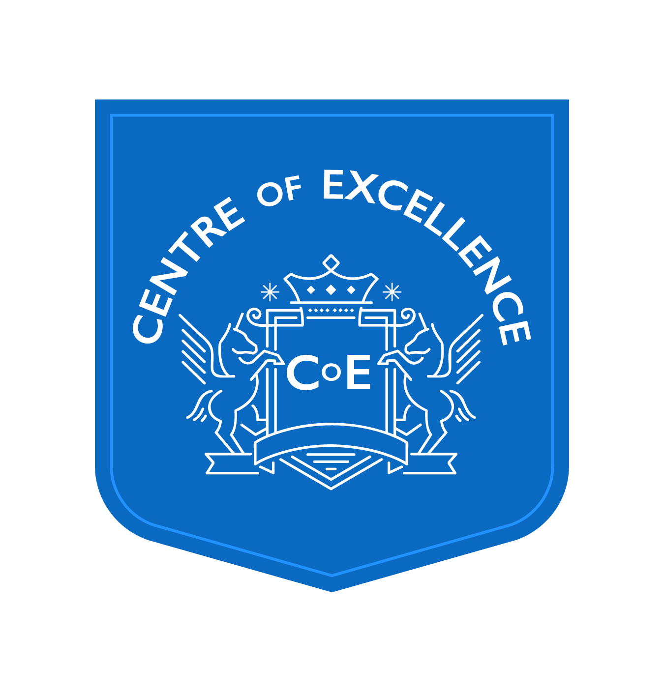 center of excellence
